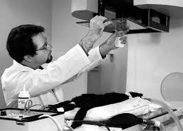 Start by asking your doctor if the pathology was definitive. Easily Missed Signs Of Skin Cancer In Cats Catwatch Newsletter