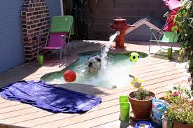 When you do have pool tile repairs, you need to identify what actually needs to be done. Build A Diy Dog Pool To Keep Your Pup Cool Healthy Paws