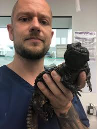 PHOENIX FUNDRAISERS. A little history and a plea for help. In 2011, The  hardworking Friends of St Osmund's committee, who had run Osmington Village  Fete very successfully for years, resigned. With a