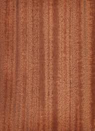 Image result for Khaya