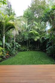 Herne Bay Subtropical Paradise J M Landscape Designer Design Build Mai Garden Large Backyard Landscaping Small Tropical Gardens Tropical Garden Design