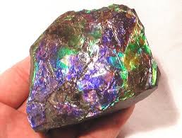 Purple Blue Green Natural Ammolite Rough Ammolite Gems And Minerals Neon Purple
