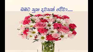 Ane, සෙරෙප්පු, හායි සර්, සුබ උදයක්, ගුඩ් මෝනිං, සුබ උදෑසනක, සුබ උදෑසනක්. Sinhala Good Morning Wishes Sinhala Whatsapp Status Sinhala Quotes Youtube