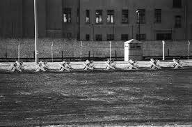 Geschichte Mietergenossenschaft Wohlertgarten E G
