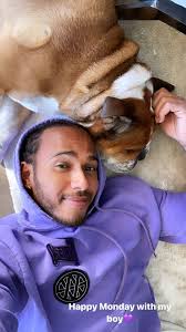 Lewis Updates On Twitter In 2021 F1 Lewis Hamilton Lewis Hamilton Lewis