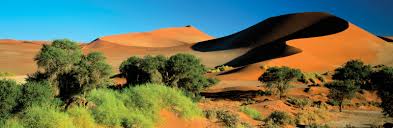 The rosette crystal habit tends to occur when the crystals form in arid sandy conditions, such as the evaporation of a shallow salt basin. Southern Africa History Countries Map Population Facts Britannica