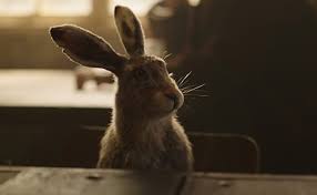 Who Plays Pantalaimon Iorek Byrnison Hestor Kaisa And Stelmaria In Bbc And Hbo S His Dark Materials Tuppence Magazine