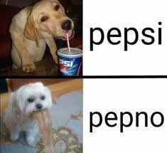 Pero Que Si Pero Que No Memes Funny Dog Memes Funny Memes Funny Animal Memes