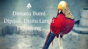 Di mana bumi dipijak, di situ langit dijunjung: Dimana Bumi Dipijak Disitu Langit Dijunjung