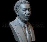 captain morgan 3d model" 3D Models to Print