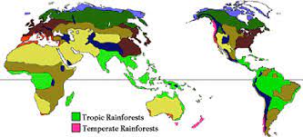 Show tropic of cancer and capricorn. Where Are Rainforests Located