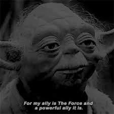 images?q=tbn:ANd9GcRXqAT0VJufrRjoK5X5EM0