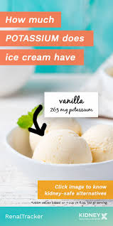 Renal Diet 101 Ice Cream No Dairy Recipes Sorbet Recipes Dessert Alternatives