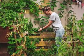 Beim garten fräulein findest du viele tolle ideen, ratgeber & jede menge inspiration rund um´s gärtnern. Schritt Fur Schritt Zum Selbstversorger Balkon Garten Fraulein Der Garten Blog Garten Dachterrasse Pflanzen Vertikaler Gemusegarten