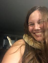 Positive vibes with cute royal python photos