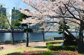 Belakangan ini, korea selatan menjadi salah satu destinasi wisata yang diminati turis. 5 Taman Paling Cantik Di Busan Korea Selatan