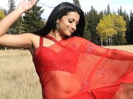 Trisha saree trisha krishnan india people cotton saree saree blouse traditional dresses sarees films things to come. Photos Hottest Looks Of Trisha In Saree Filmibeat