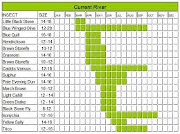 current river hatch chart fly fishing fly fishing blue