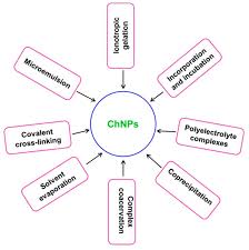 We did not find results for: Synthesis Bioapplications And Toxicity Evaluation Of Chitosan Based Nanoparticles Abstract Europe Pmc