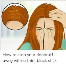 Want to post pictures of your dandruff? Wiki How How To Stab Your Dandruff Away With A Thin Black Stick Black Meme On Me Me