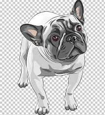 French Bulldog American Bulldog Puppy Png Animals Breed Bulldog Carnivoran Cartoon American Bulldog Puppies Bulldog Puppies Bulldog