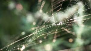 Eine klare dokumentation ist die basis für struktur und transparenz. Systemische Therapie Das Beziehungsnetz Im Fokus Br Wissen