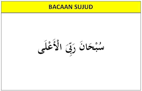 Bacaan Sholat Doa Sujud Membaca Tulisan Pengikut