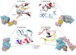 Скит скит намбер ван чит. Figure Mutations In Crl4 Crbn E3 Ubiquitin Ligase Clustered In The Download Scientific Diagram