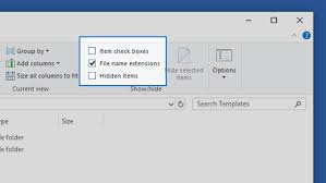 Common File Name Extensions In Windows