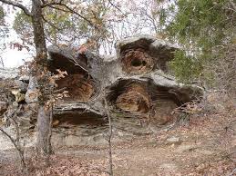 Sobre garden of the gods. Garden Of The Gods Illinois Picture Of Garden Of The Gods Harrisburg Tripadvisor