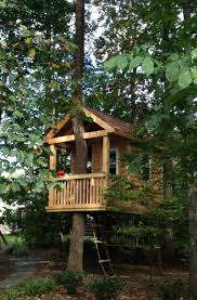 Awesome tree house ideas for the whole family. 37 Kids Treehouse Design Ideas Sebring Design Build