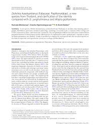 Image result for Wajira grahamiana