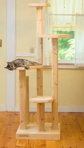 Pet Houses Panosundaki Pin