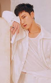 Wayv Members Profile And 10 Facts You Should Know About Wayv Xiaojun's dream was the last wayv revealed his desire to direct a musical movie set in his hometown that he himself can star in. wayv members profile and 10 facts you