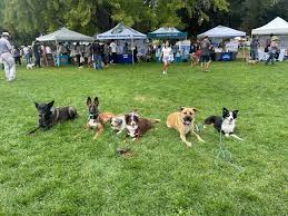 Profile for Fresh Start K9