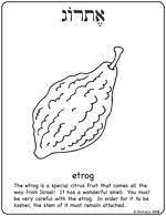 Building a sukkah from crayola.com sukkot & simchat torah coloring pages from torah tots lulav. Shirlala Blog Archive Etrog Printable Coloring Page Sukkot Etrog Printable Coloring Pages