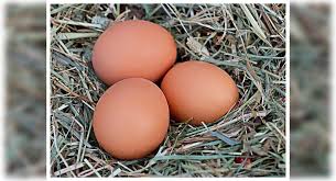 Quinoa, pea, sweet potato, lettuce, watercress, pickled onion, seasoned crouton join us on instagram or facebook to keep tabs on the changes we make, ideas we're. This Is The Most Liked Picture Of Food On Instagram The Times Of India