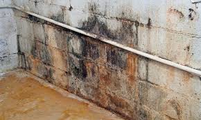 Top Causes Of Water Seepage And Basement Leaks
