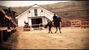 Alte rase selecte de la origini au avut numele de maneghi, jilfan, shuwayman si dahman. Herghelia Privata De Cai Din Rasa Pur Sange Arab Bacau Youtube