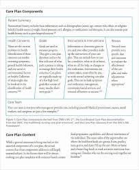 Plan Of Care Template Elegant 11 Basic Care Plan Template Word Pdf Format Download In 2020 Nursing Home Care Nursing Care Plan Care Plans