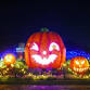 Halloween Night in the Forest event image