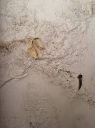 Fashion, motors, electronics, sporting goods, toys Apakah Wallpaper Dapat Dipasang Wallpaper Store Denpasar Facebook