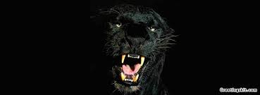 All images have these dimensions: Black Puma Facebook Timeline Cover