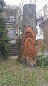 Pin On صور غريبه Weird Pictures