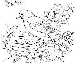 Supercoloring.com is a super fun for all ages: Online Coloring Pages A Bird Coloring A Bird At A Nest With Eggs Birds