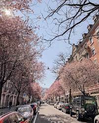 spring its a long weekend here in zurich yeey how are you spending the weekend i hope i can enjoy the weather outside and go for walks springlook