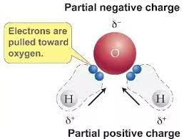 Each hydrogen atom is covalently bonded to the oxygen via a shared pair of electrons. Why Is Water Considered A Polar Molecule Quora