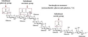 an innovative approach for the biotechnological production