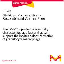 Image result for CSF Protein