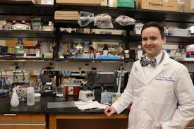 Ovarian cancer is diagnosed in nearly a quarter of a million women. Autophagy Genes Act As Tumor Suppressors In Ovarian Cancer Eurekalert Science News